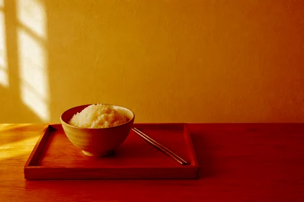 rice-tray.jpg with color_burn("#e8743b")