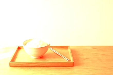 rice-tray.jpg with color_dodge("#e8743b")