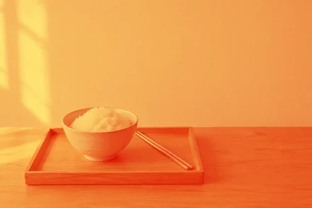 rice-tray.jpg with hard_light("#e8743b")