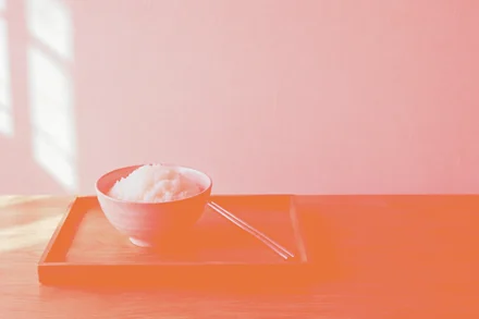 rice-tray.jpg with lighten("#e8743b")