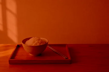 rice-tray.jpg with linear_burn("#e8743b")