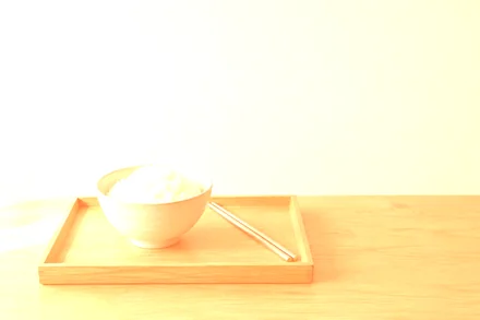 rice-tray.jpg with linear_dodge("#e8743b")