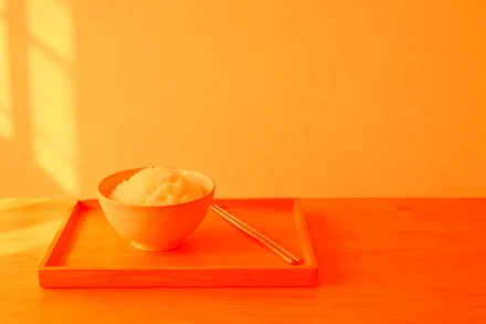 rice-tray.jpg with linear_light("#e8743b")