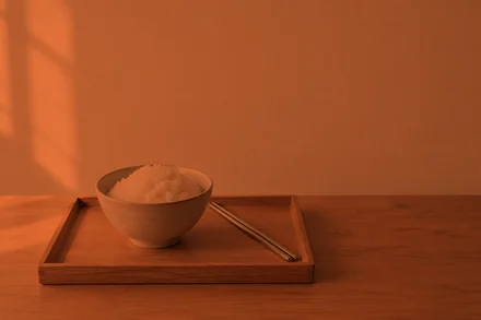 rice-tray.jpg with multiply("#e8743b")