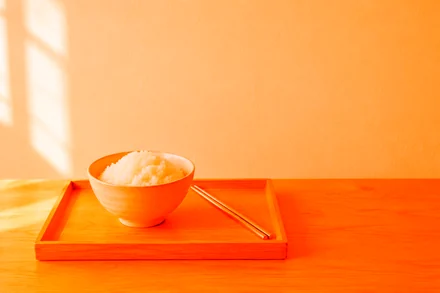 rice-tray.jpg with vivid_light("#e8743b")