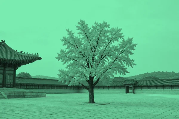 ginkgo.jpg after: image.multiply("#3fe28f", opacity=0.7)